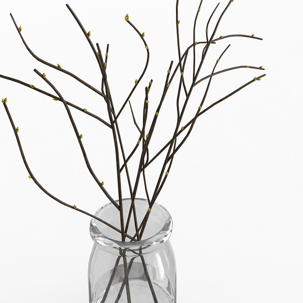 Branches in Glass Vase 3D model_2