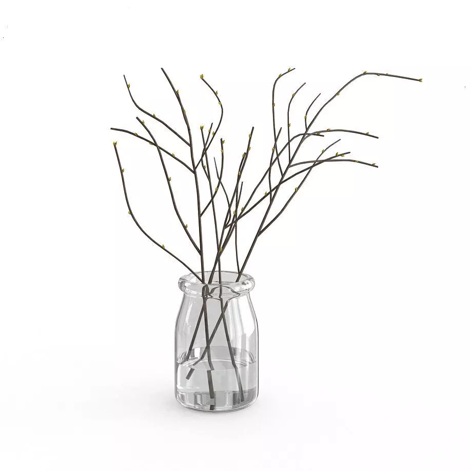 Branches in Glass Vase 3D model_0