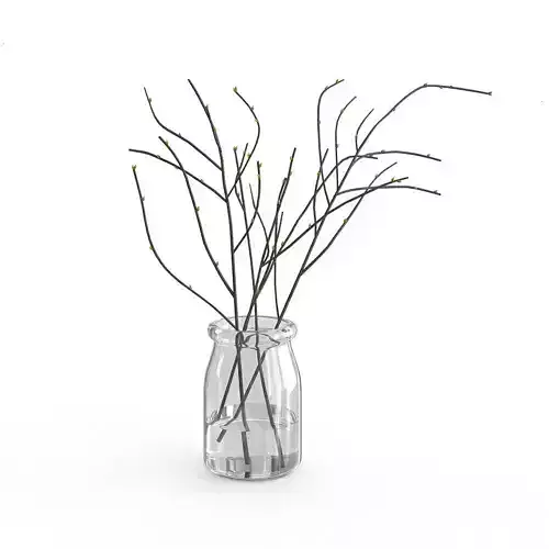 Branches in Glass Vase