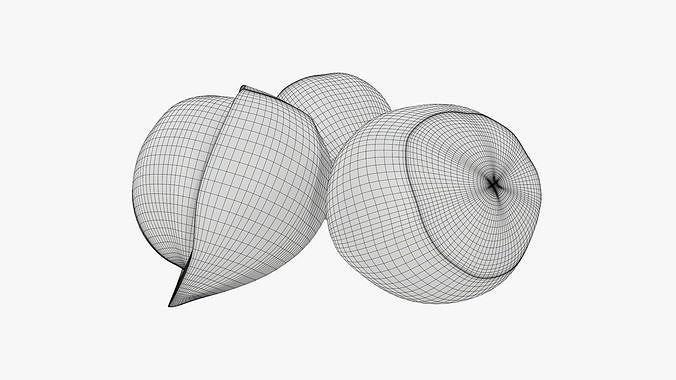 Hazelnuts 01 3D model 7