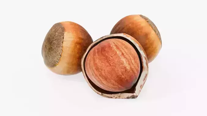 Hazelnuts 01 3D model