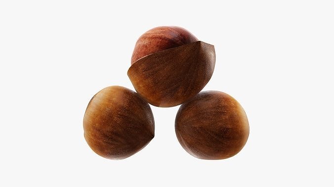 Hazelnuts 01 3D model 4
