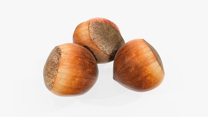 Hazelnuts 01 3D model 3