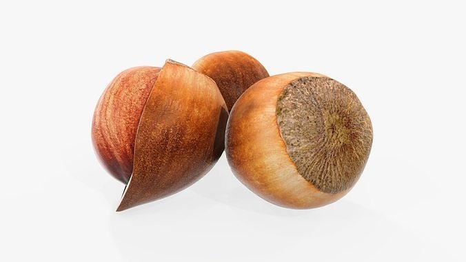 Hazelnuts 01 3D model 2