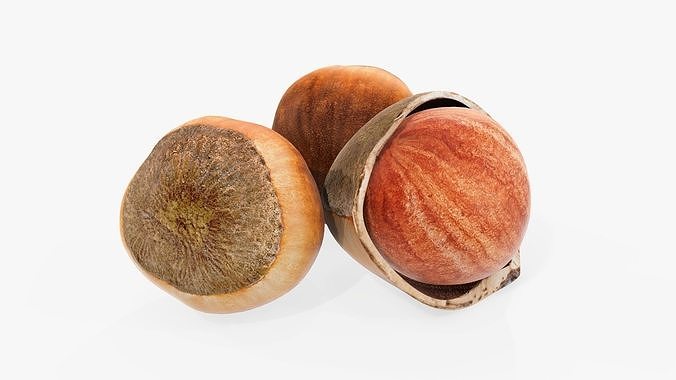 Hazelnuts 01 3D model 5