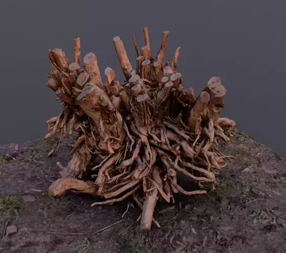 Amazing high poly root