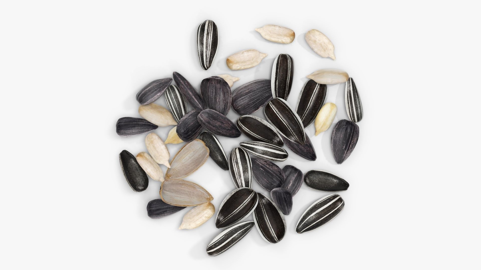 Seeds sunflower 07