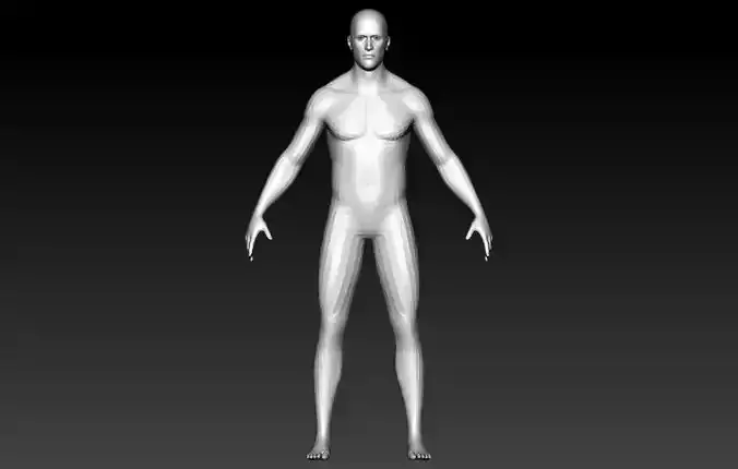 male  base mesh 