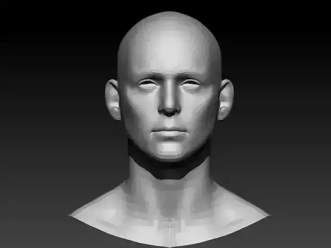 base mesh head