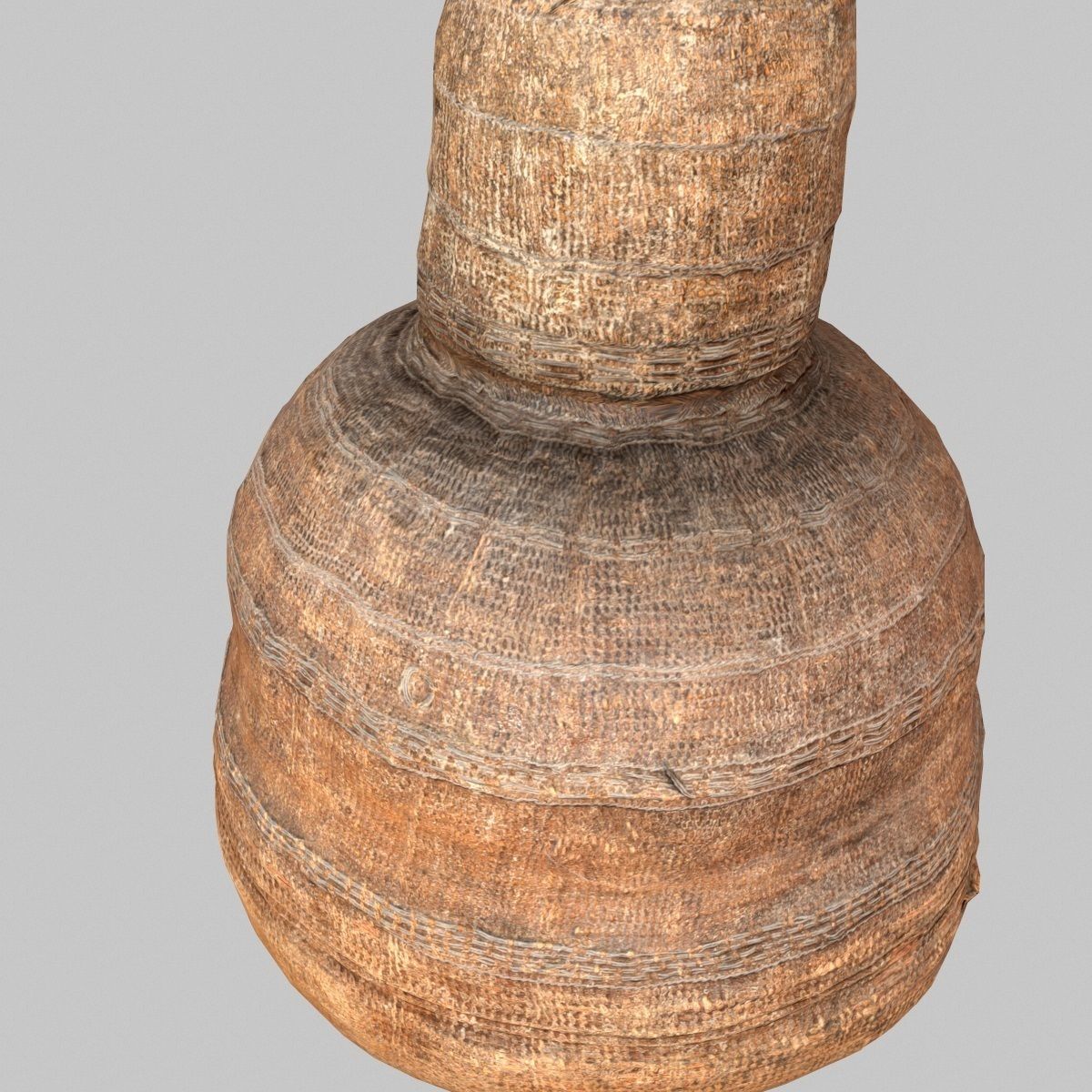 Calebas Primitive Drinking tank Low-poly 3D model_8