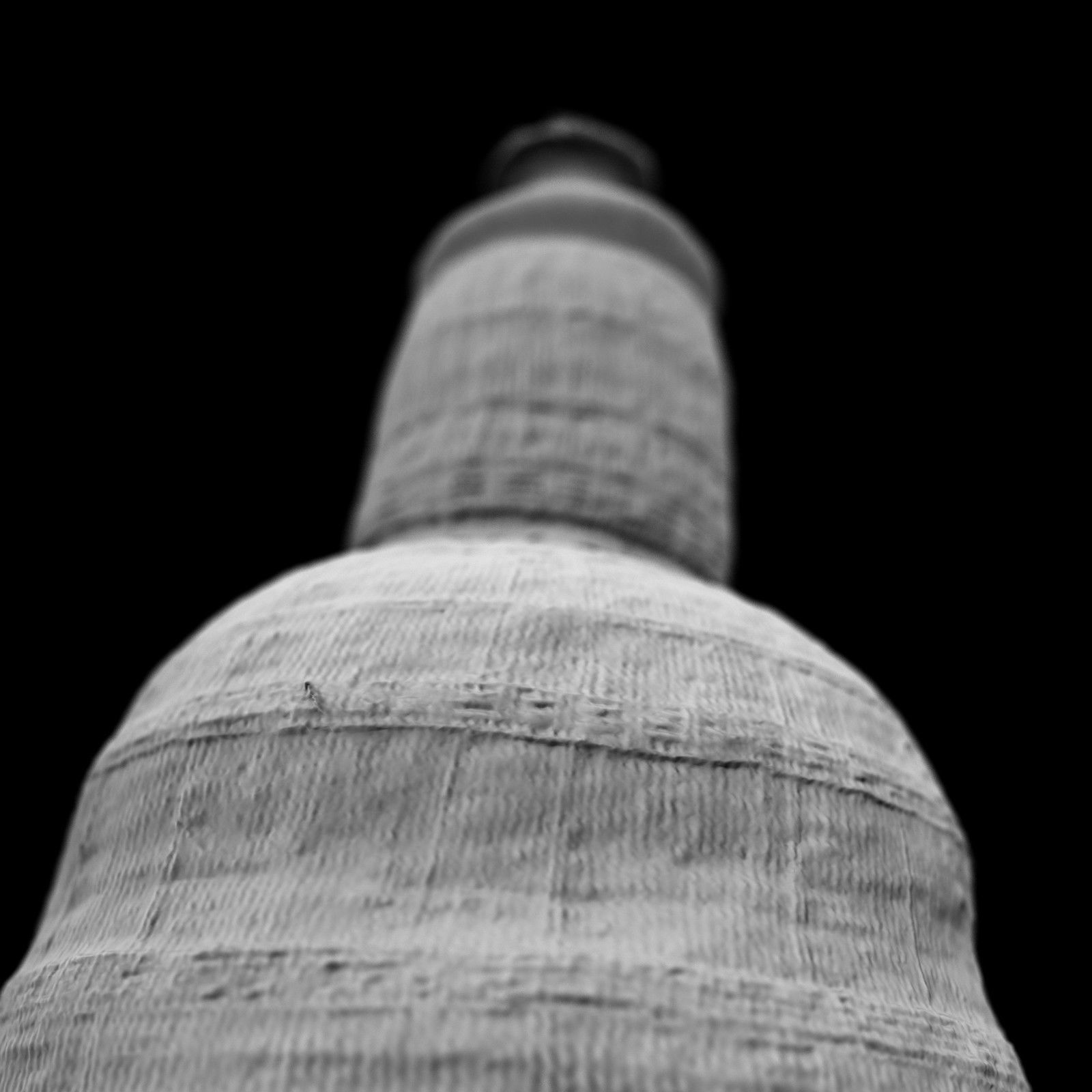 Calebas Primitive Drinking tank Low-poly 3D model_6