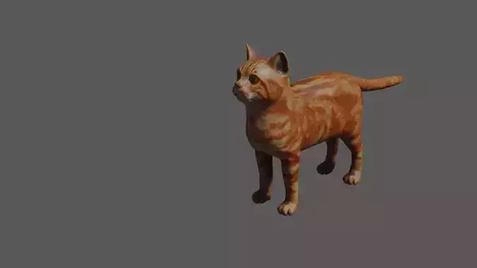 cat 3d model orange