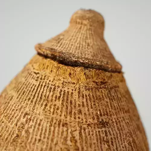 Calebas Primitive Drinking tank 2