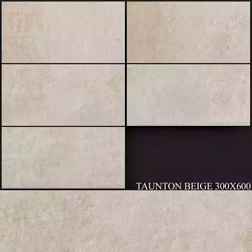 Keros Taunton Beige 300x600 3D model