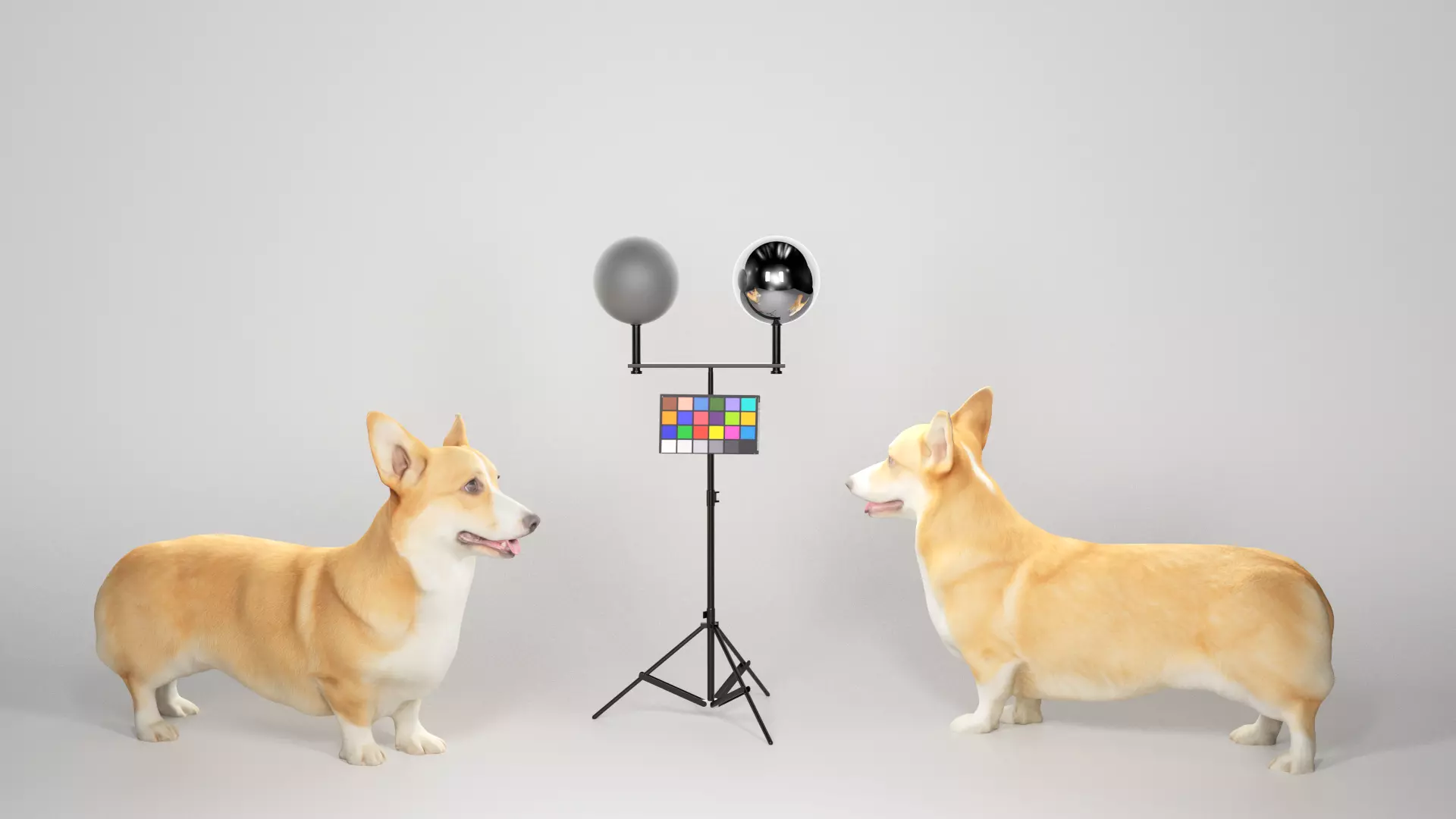 Corgi dog 01 Low-poly 3D model_0