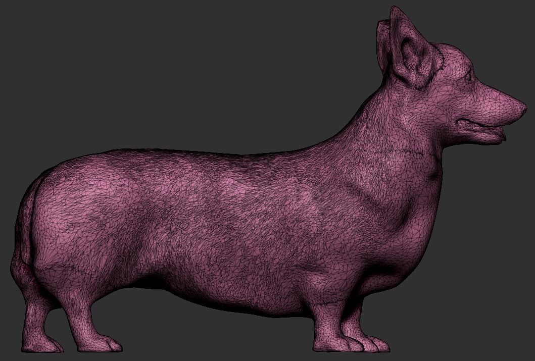Corgi dog 01 Low-poly 3D model_7