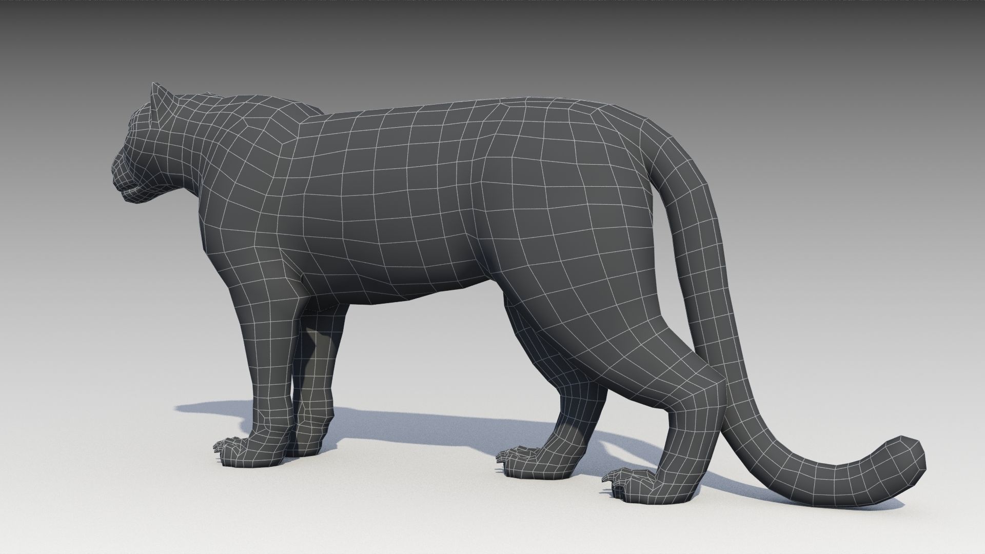 Clouded Leopard Low-poly 3D model_14