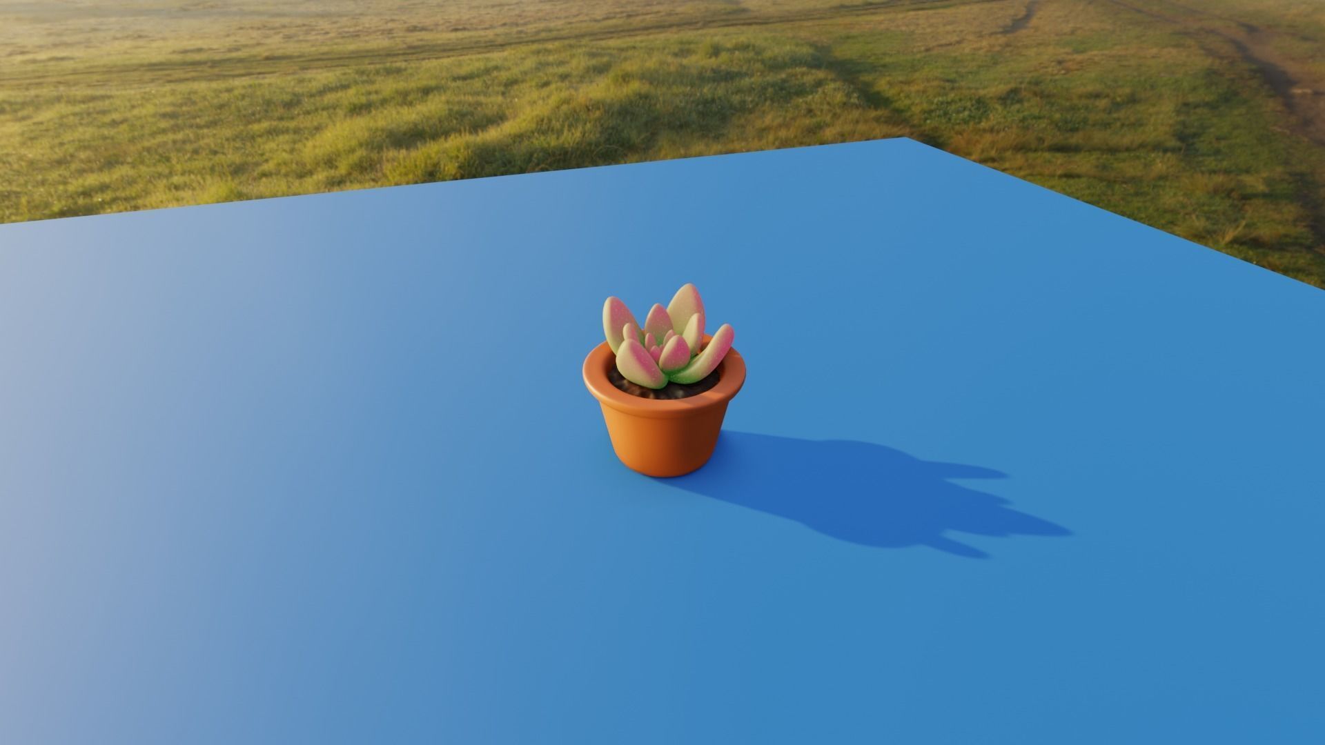 Low Poly Plant succulent in pot Low-poly 3D model_3