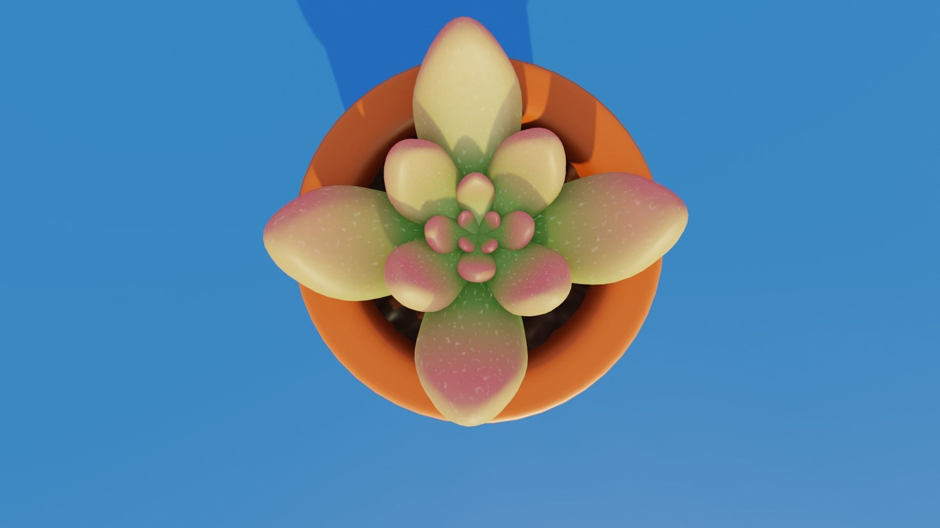 Low Poly Plant succulent in pot Low-poly 3D model_1