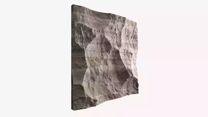 466-RockPanel piece of rock