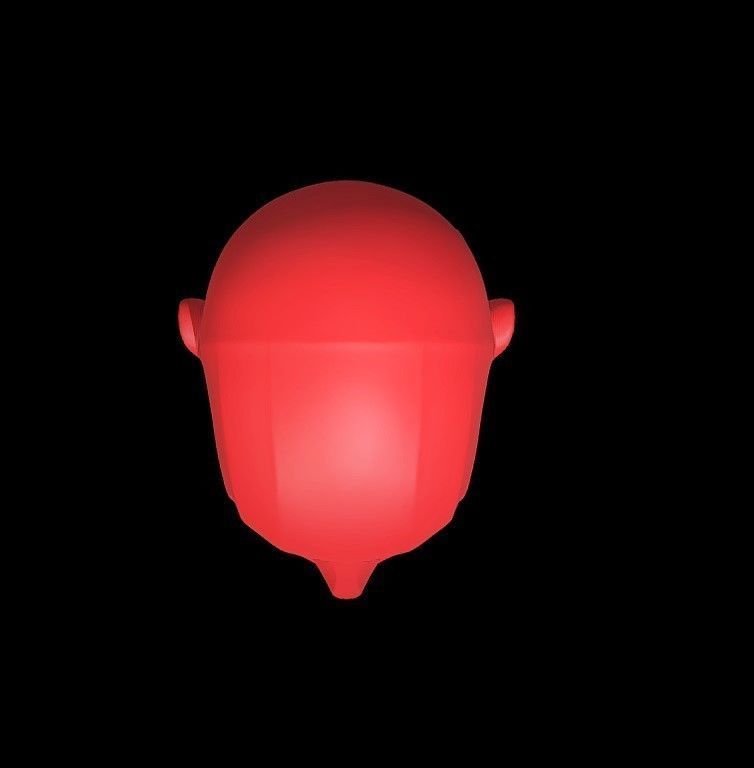 Memorized Head - John Asaro 3D model_8