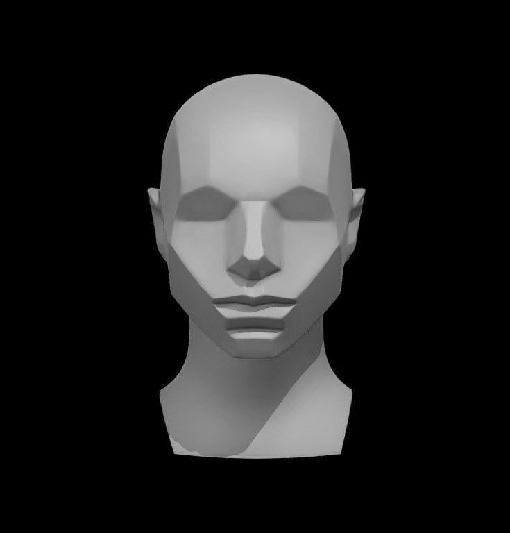 Memorized Head - John Asaro 3D model_6