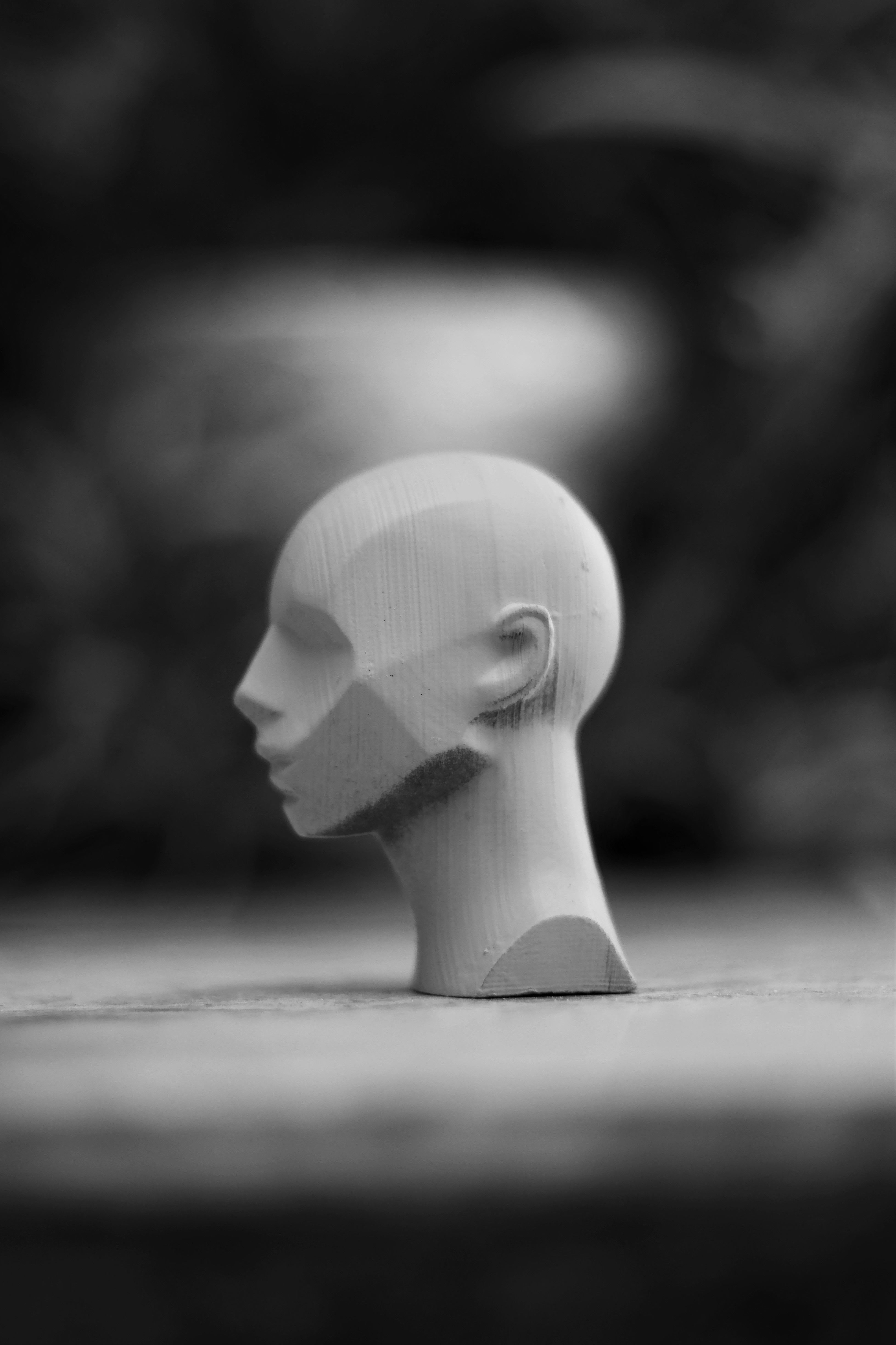 Memorized Head - John Asaro 3D model_13