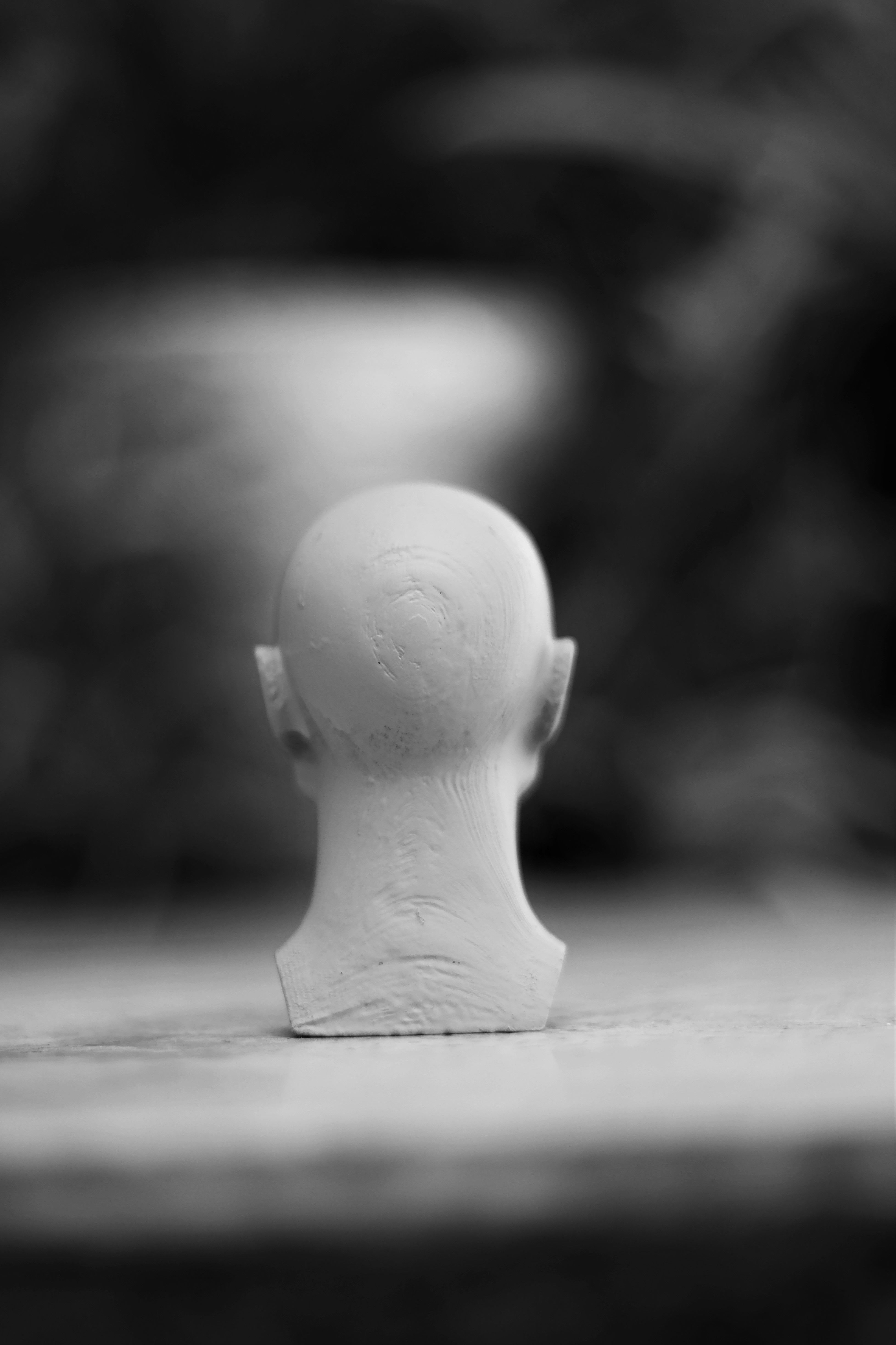 Memorized Head - John Asaro 3D model_16