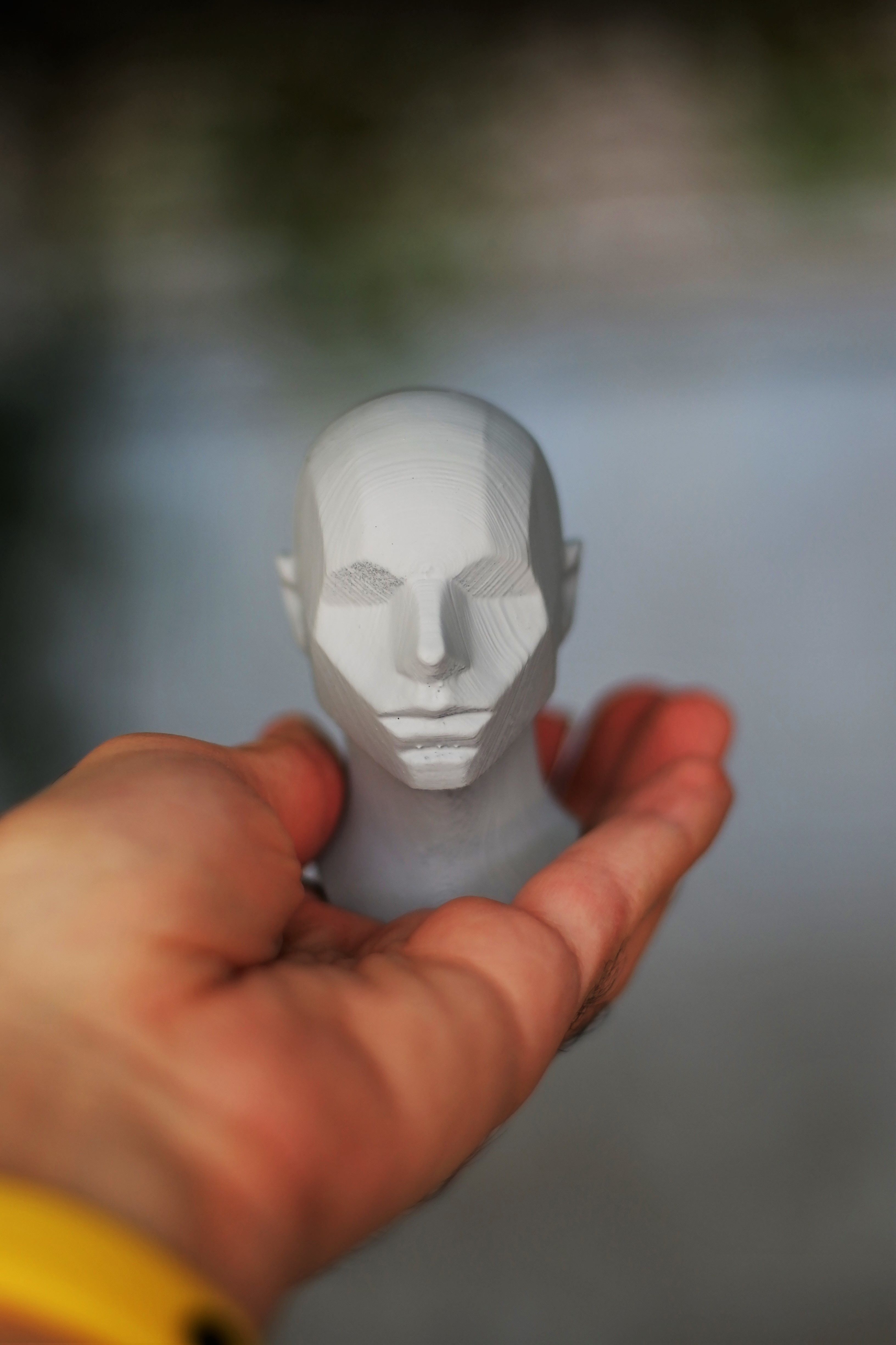 Memorized Head - John Asaro 3D model_7