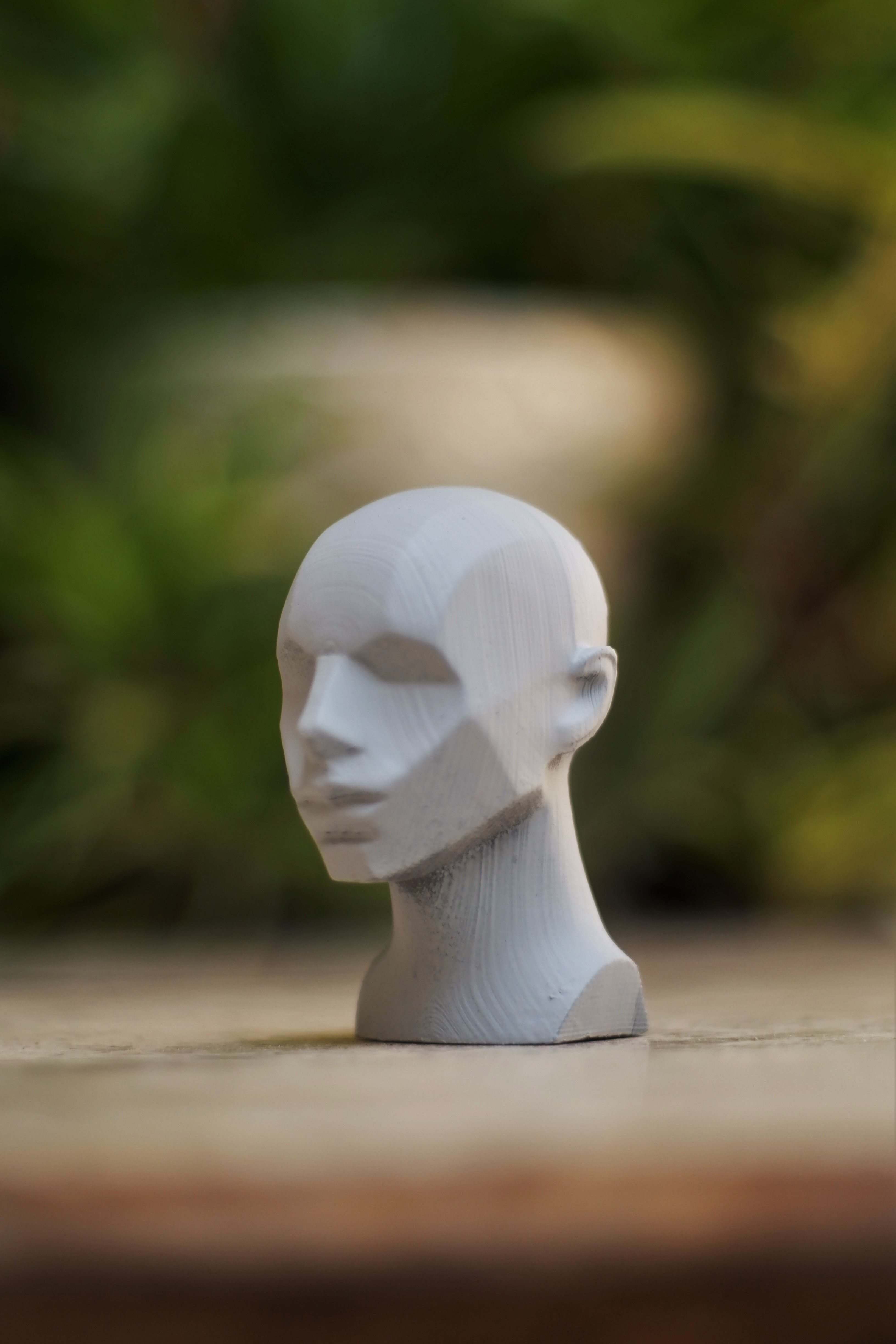 Memorized Head - John Asaro 3D model_3