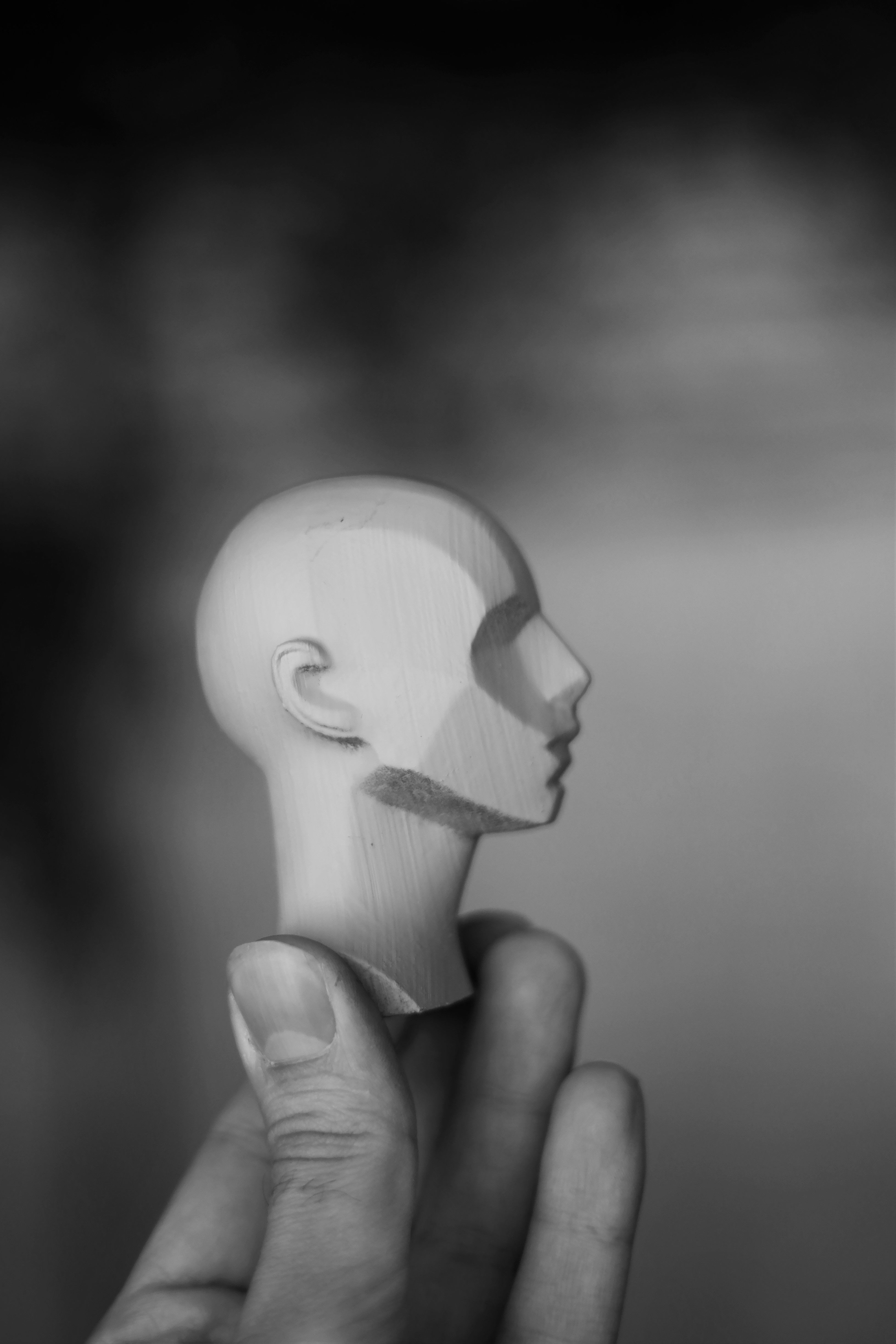 Memorized Head - John Asaro 3D model_10