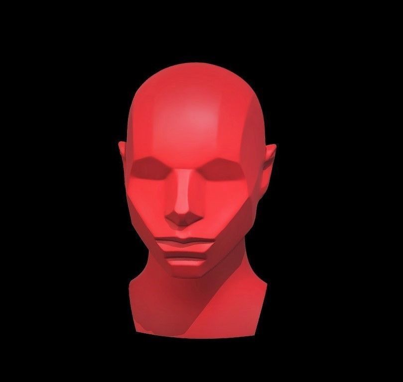 Memorized Head - John Asaro 3D model_2