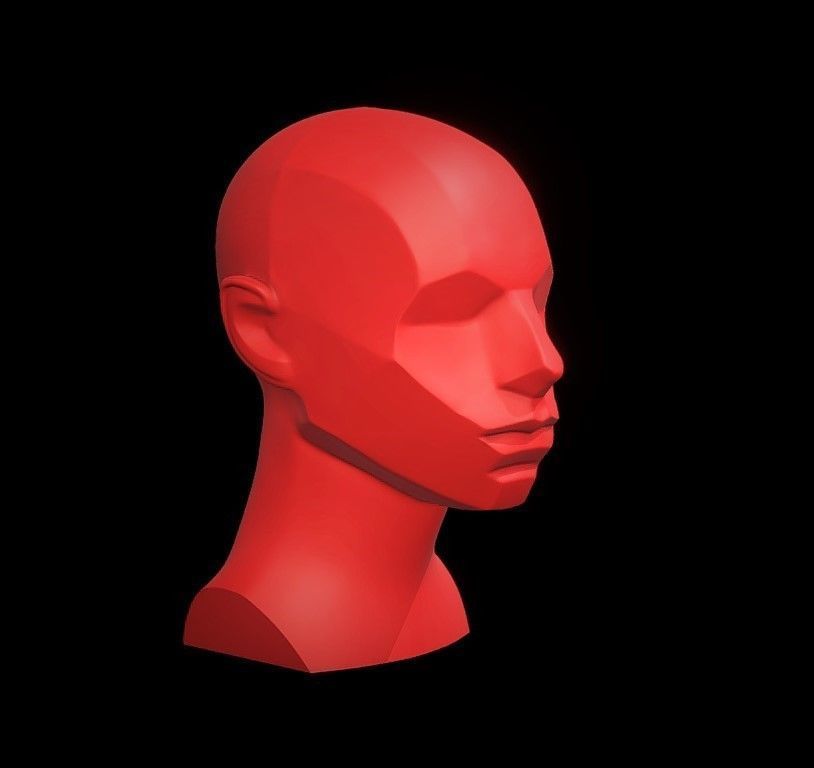 Memorized Head - John Asaro 3D model_14