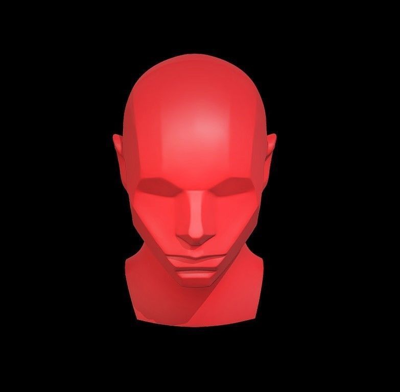 Memorized Head - John Asaro 3D model_4