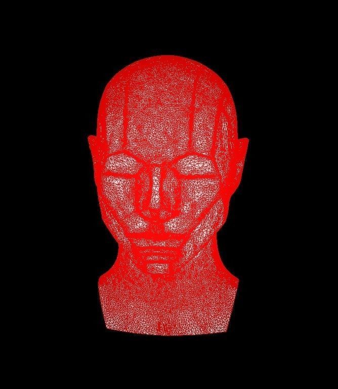 Memorized Head - John Asaro 3D model_12