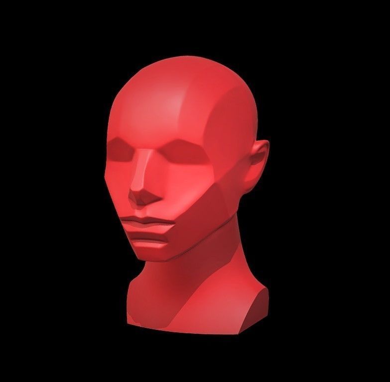 Memorized Head - John Asaro 3D model_5