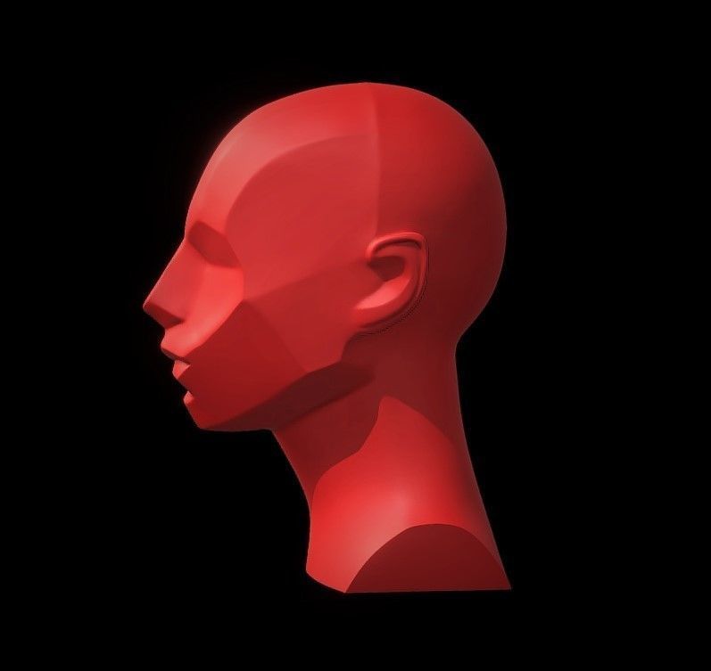 Memorized Head - John Asaro 3D model_11