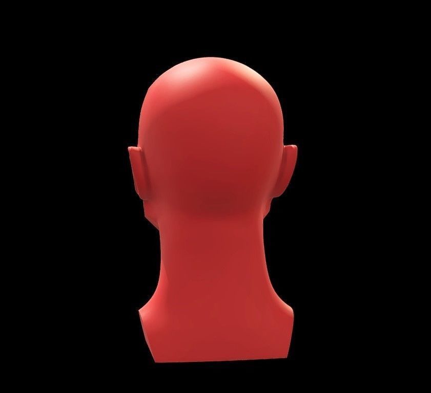 Memorized Head - John Asaro 3D model_15