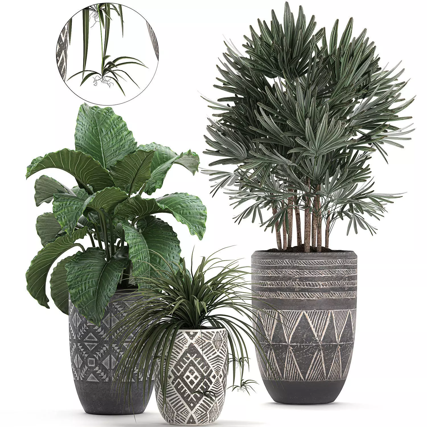 Houseplants in a pot for the interior 703 3D model_0