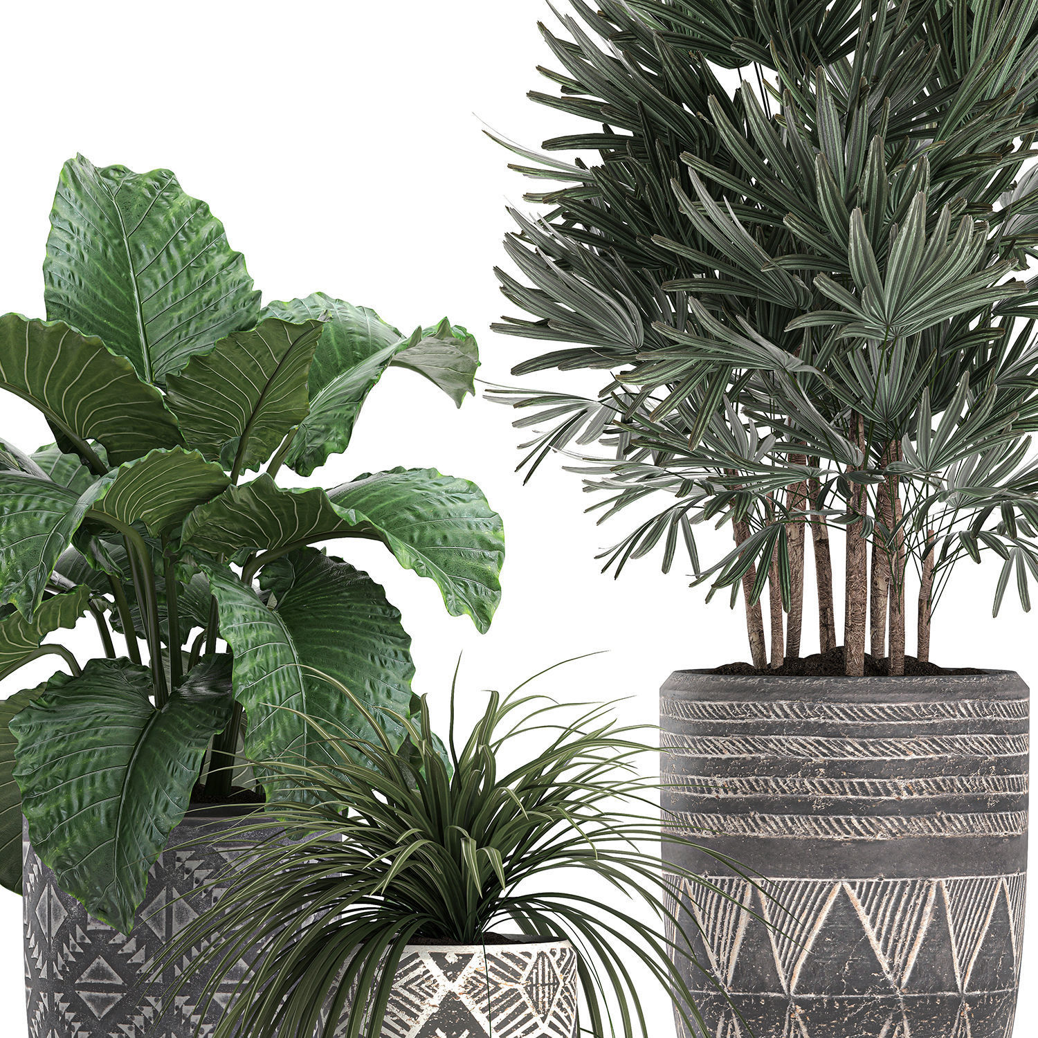 Houseplants in a pot for the interior 703 3D model_4