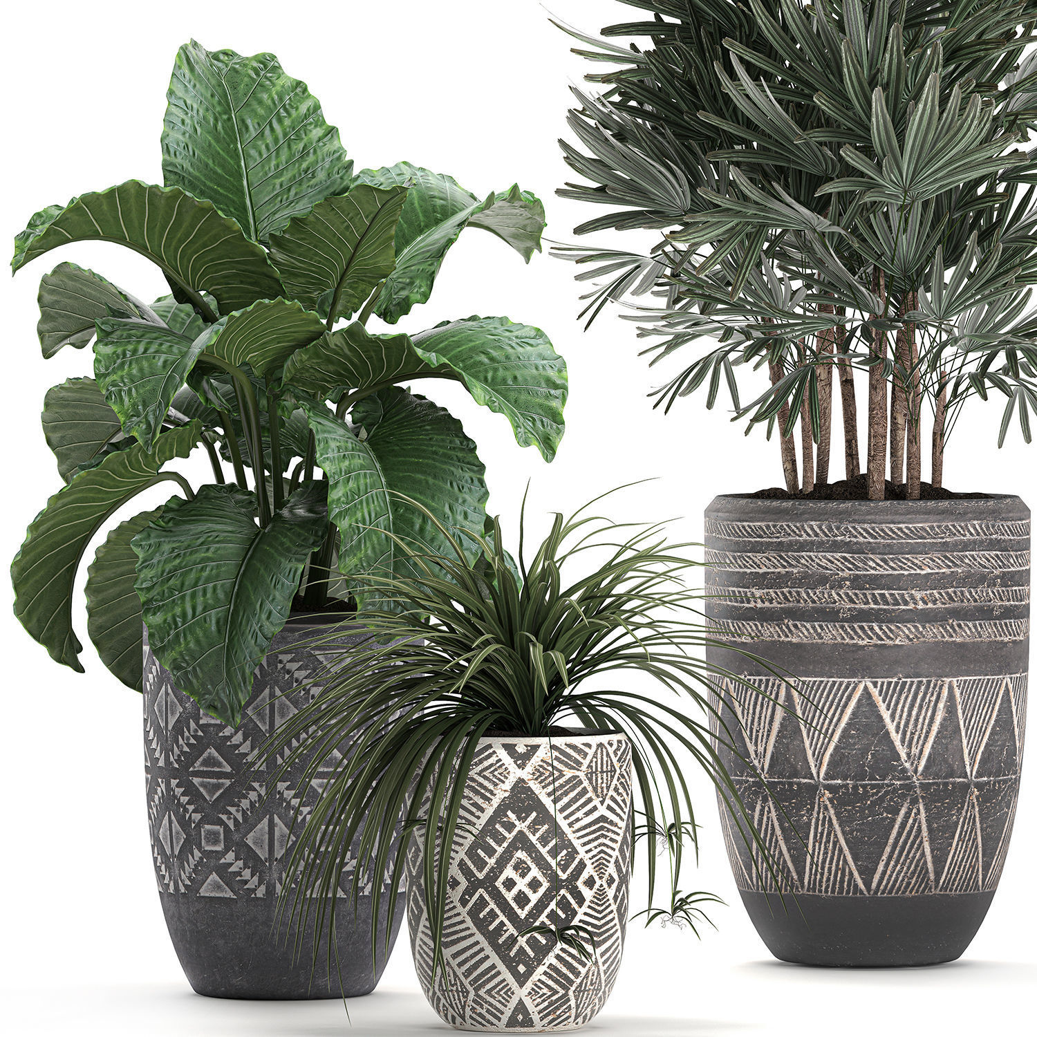 Houseplants in a pot for the interior 703 3D model_2