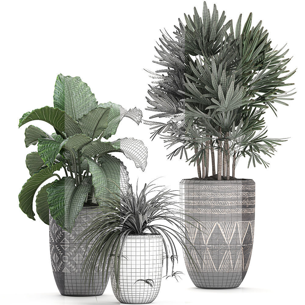 Houseplants in a pot for the interior 703 3D model_5