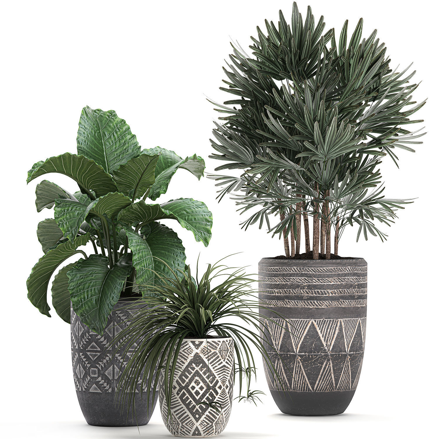 Houseplants in a pot for the interior 703 3D model_1