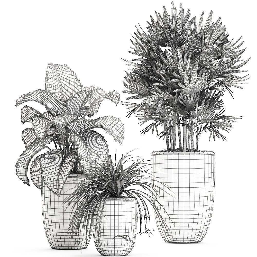 Houseplants in a pot for the interior 703 3D model_7