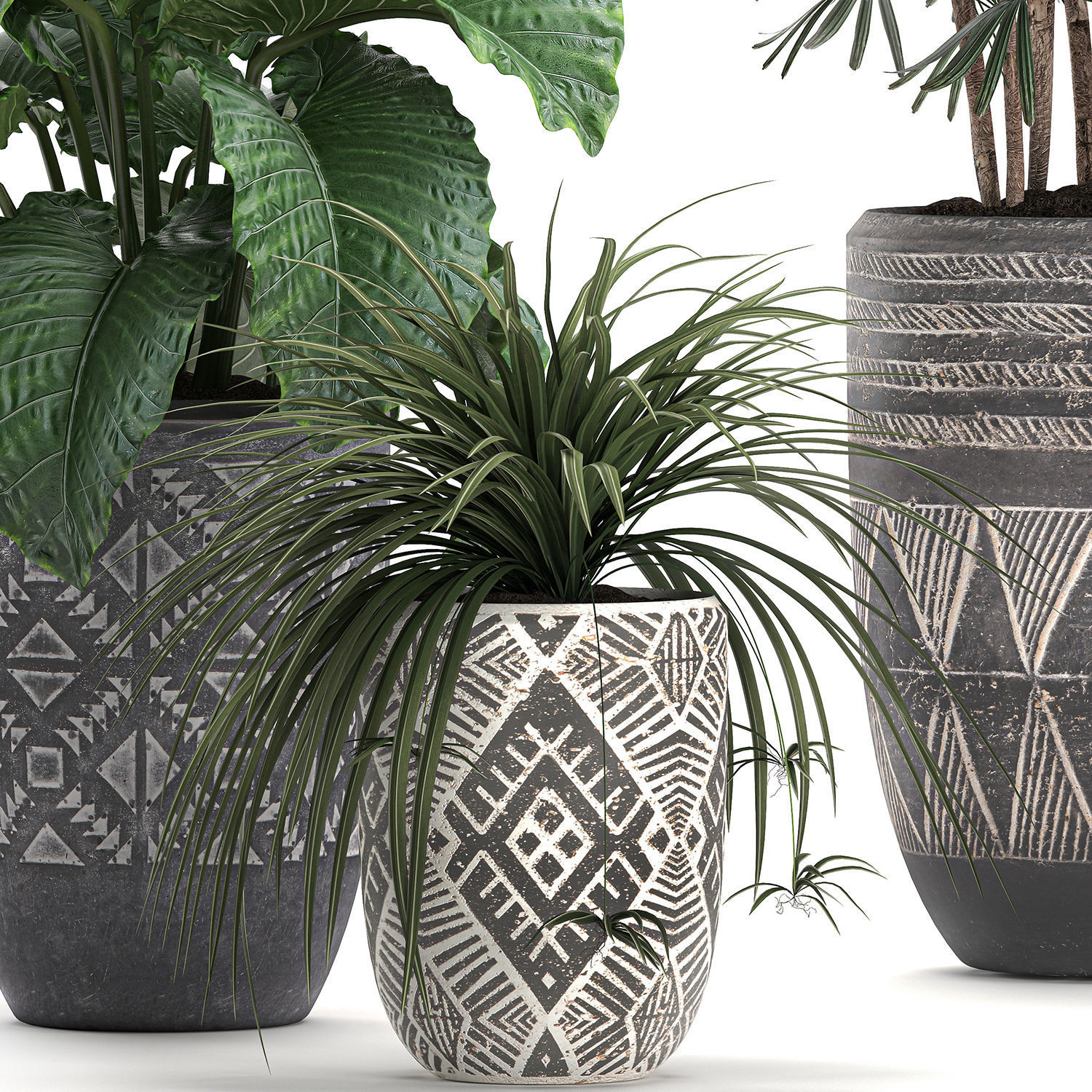 Houseplants in a pot for the interior 703 3D model_3
