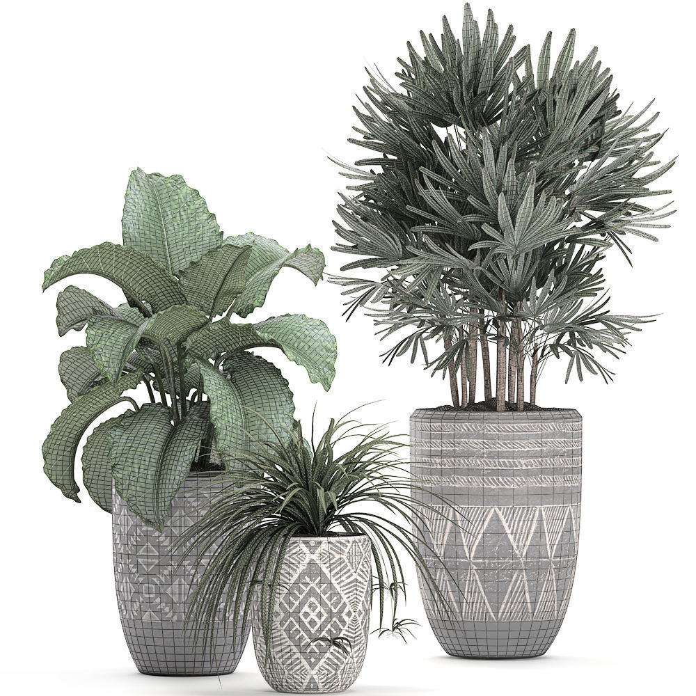 Houseplants in a pot for the interior 703 3D model_6