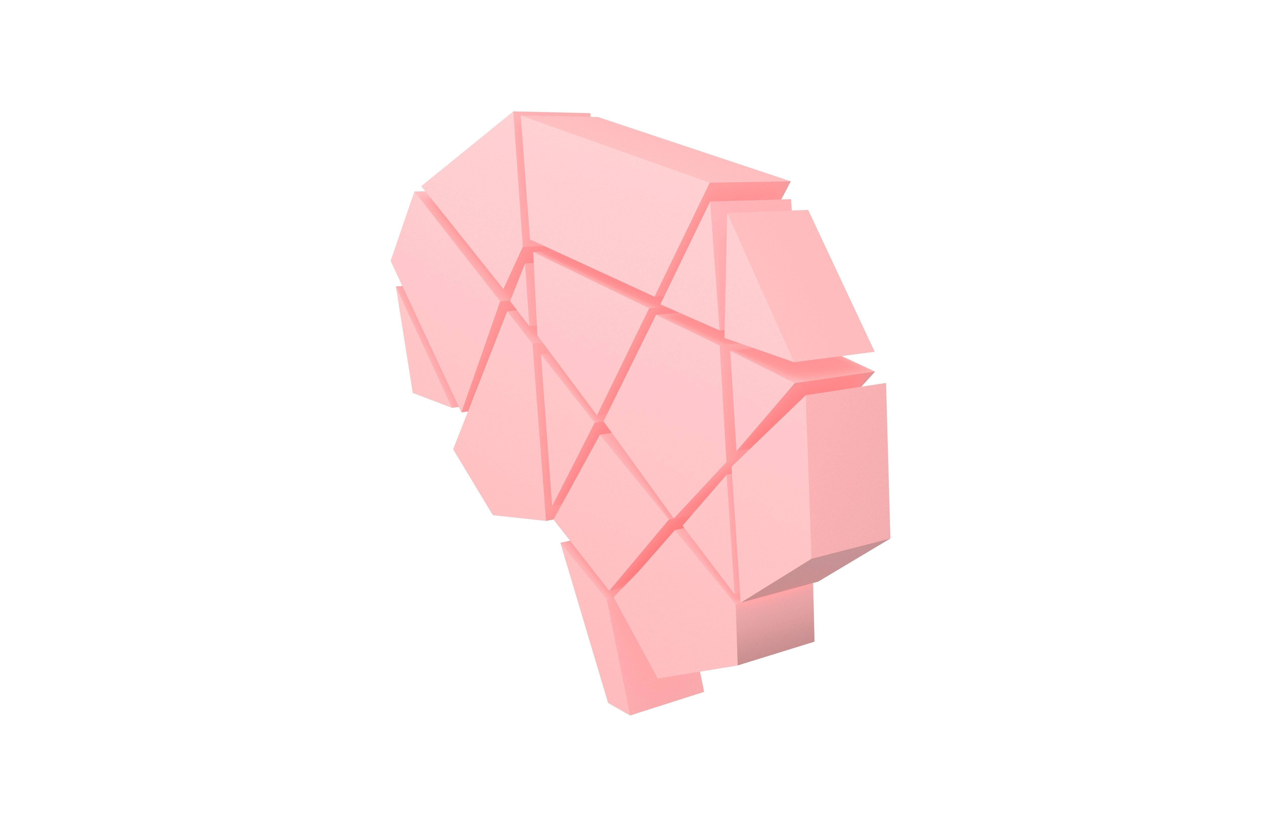 Brain Symbol v1 002 Low-poly 3D model_6