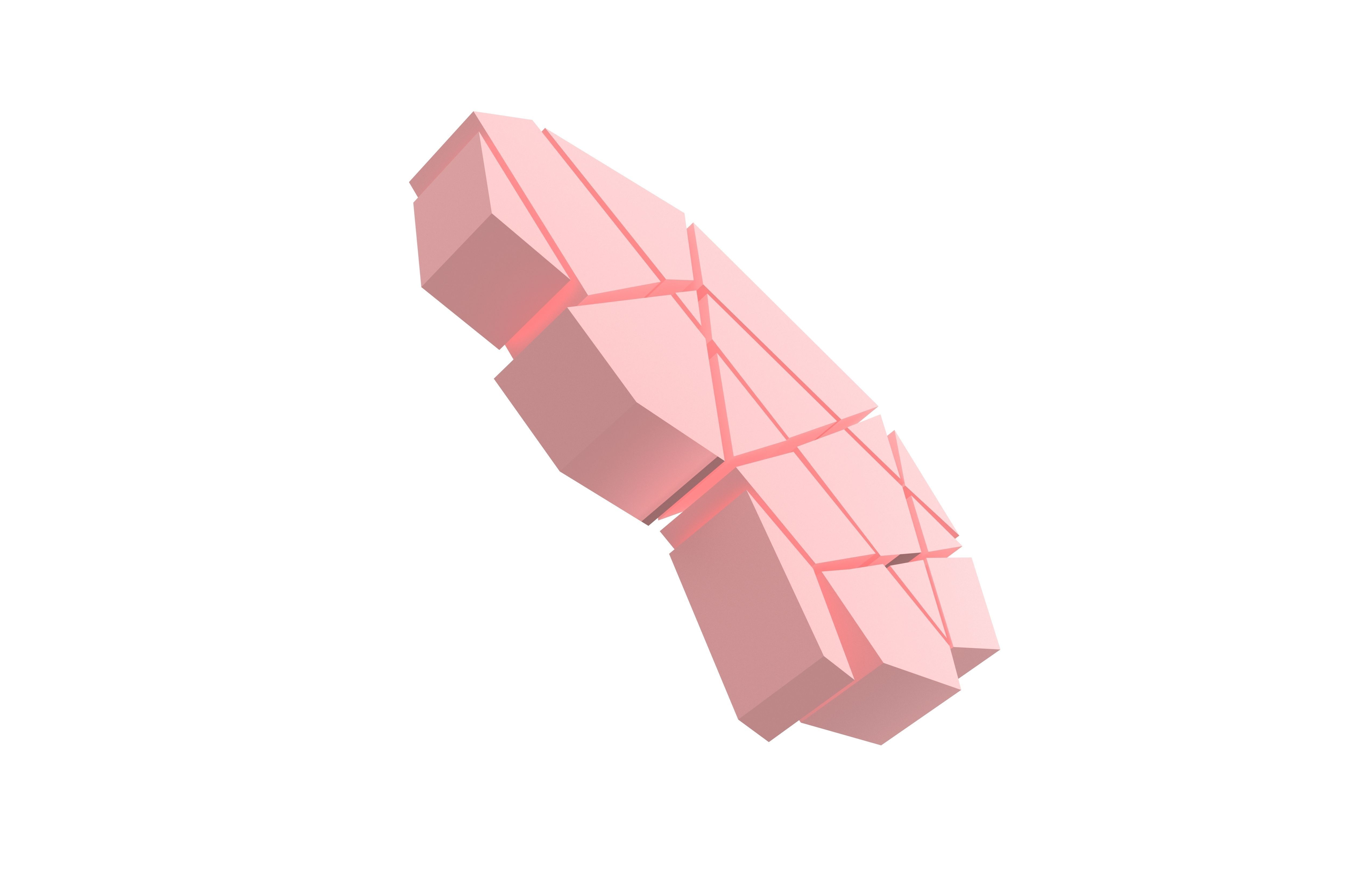Brain Symbol v1 002 Low-poly 3D model_5