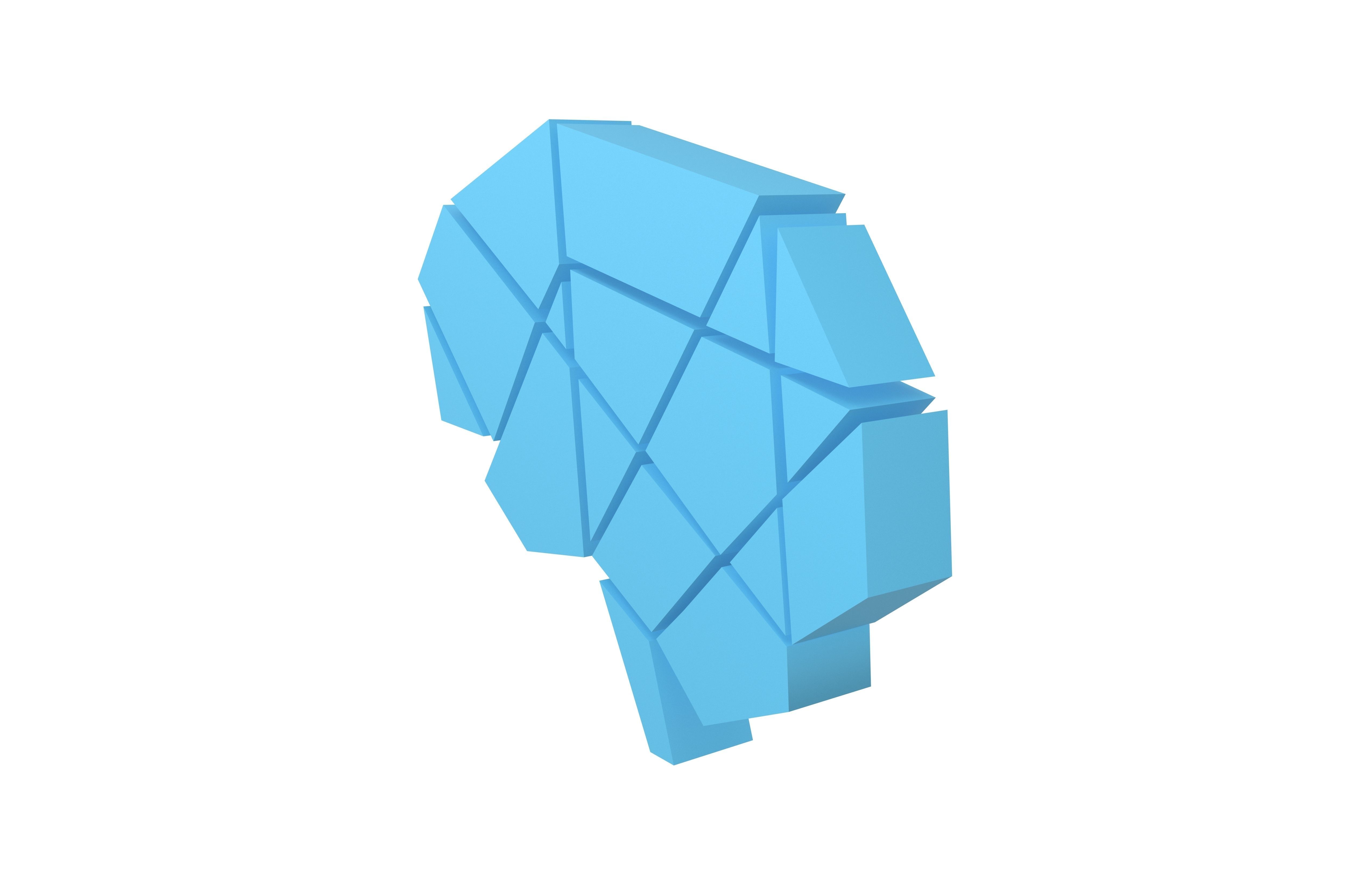 Brain Symbol v1 003 Low-poly 3D model_2