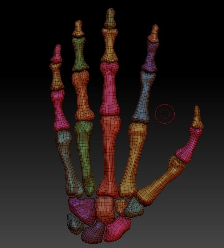 Hand bones 3D model_4